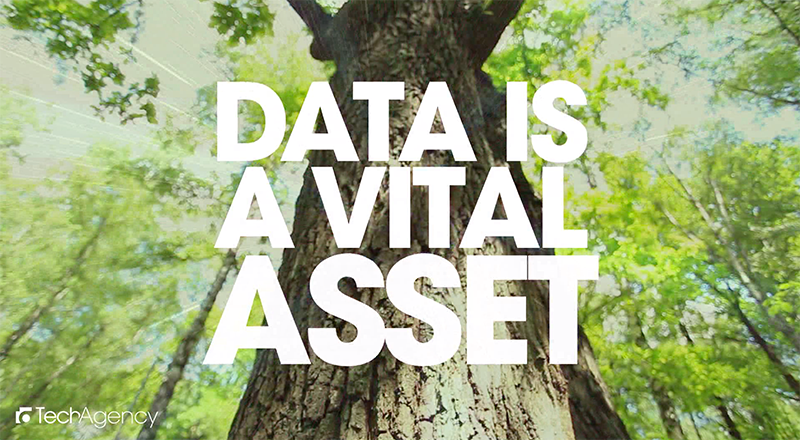 Our journey began when TechAgency started and put into practice our principles, methodologies and platforms enabling companies to achieve better performance from their data assets.
Our experience demonstrates that decision-makers demand combined solutions incorporating data strategy...
